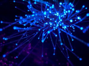 Feixes de fibra óptica iluminados representando a rede de distribuição de conteúdo do Amazon CloudFront